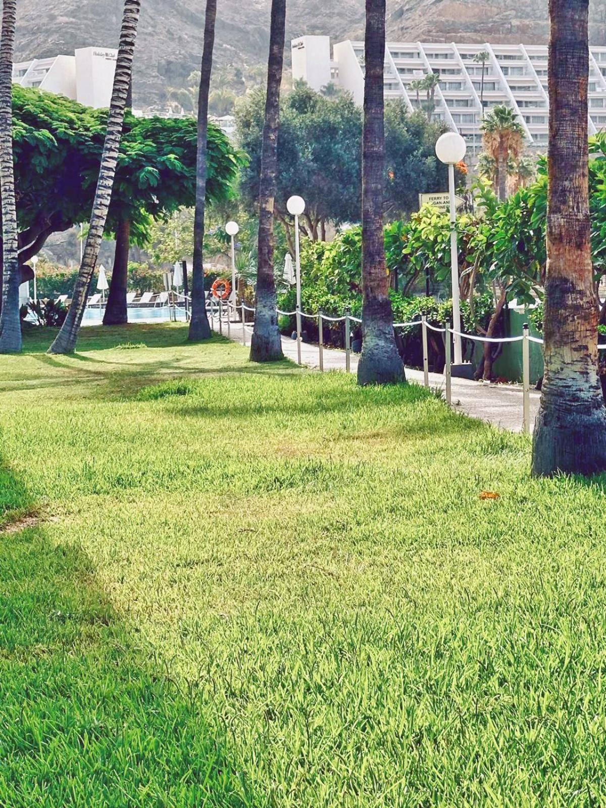 פוארטו ריקו Apartamentos Portonovo מראה חיצוני תמונה